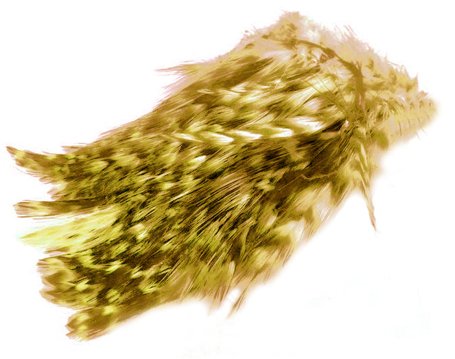 BARRED STRUNG NECK HACKLE. Color: YELLOW